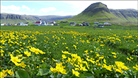 Hvalba, Suðuroy 23.05.2024