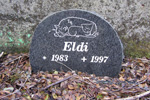 Eldi