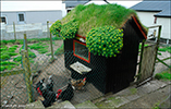 Our hen house on Nólsoy