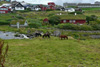 Sandágerði, Tórshavn.
