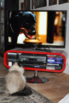 Pjerrot ser en film med Garfield 18.04.2012
