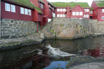 Tórshavn 17.05.2010